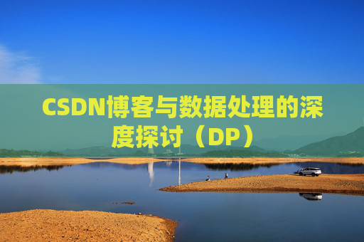 CSDN博客与数据处理的深度探讨（DP）
