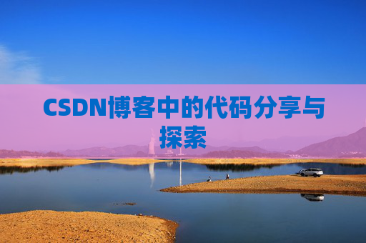 CSDN博客中的代码分享与探索